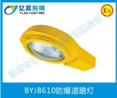 BYJ8610防爆道路灯